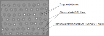 Vidal2003IS illustration