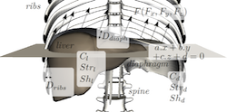 Vidal2013MIBISOC-B illustration