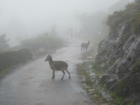 A random picture of India.