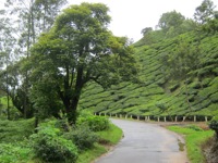 A random picture of India.