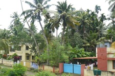 A random picture of India.