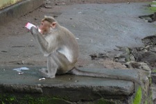 A random picture of India.