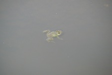 A random picture of India.