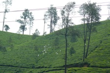 A random picture of India.