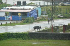 A random picture of India.