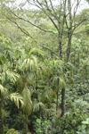 A random picture of India.