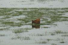 A random picture of India.